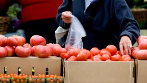rosii, tomate in magazin
