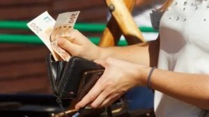 bani euro