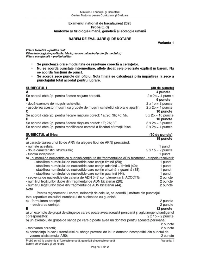 barem anatomie