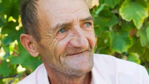 pensii, pensie, pensia, pensionar, pensionari
