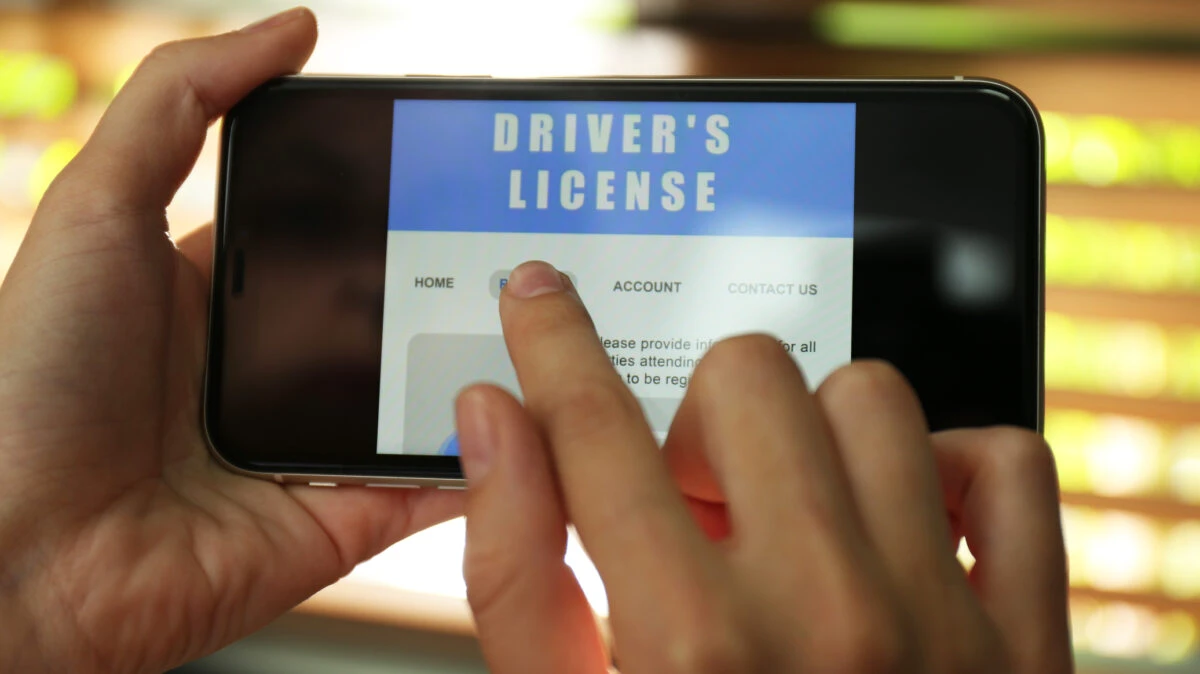 permis de conducere, platforma permis conducere