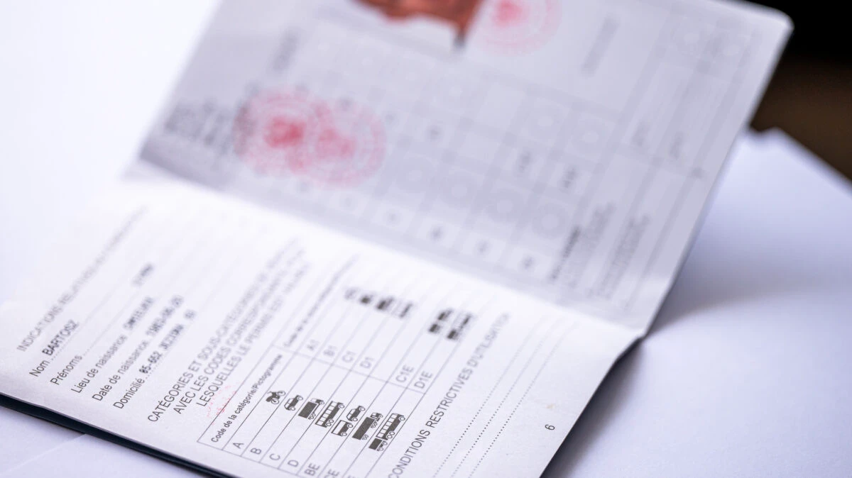 permis international, permis conducere