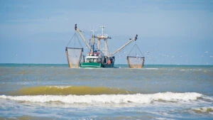 pescuit, mare, pescari, nava pescuit
