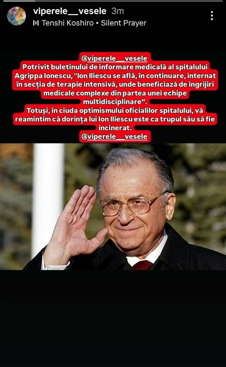 viperele vesele, ion iliescu