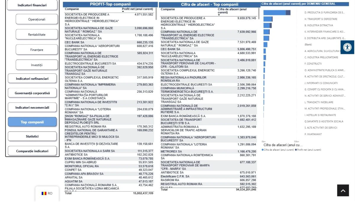 AMEPIP, companii de stat profit