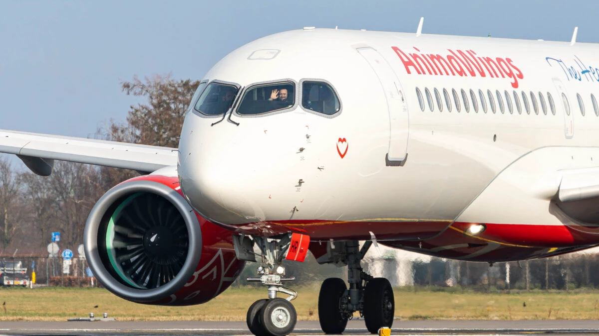 AnimaWings lansează trei rute noi din octombrie 2025. Despre ce destinații este vorba