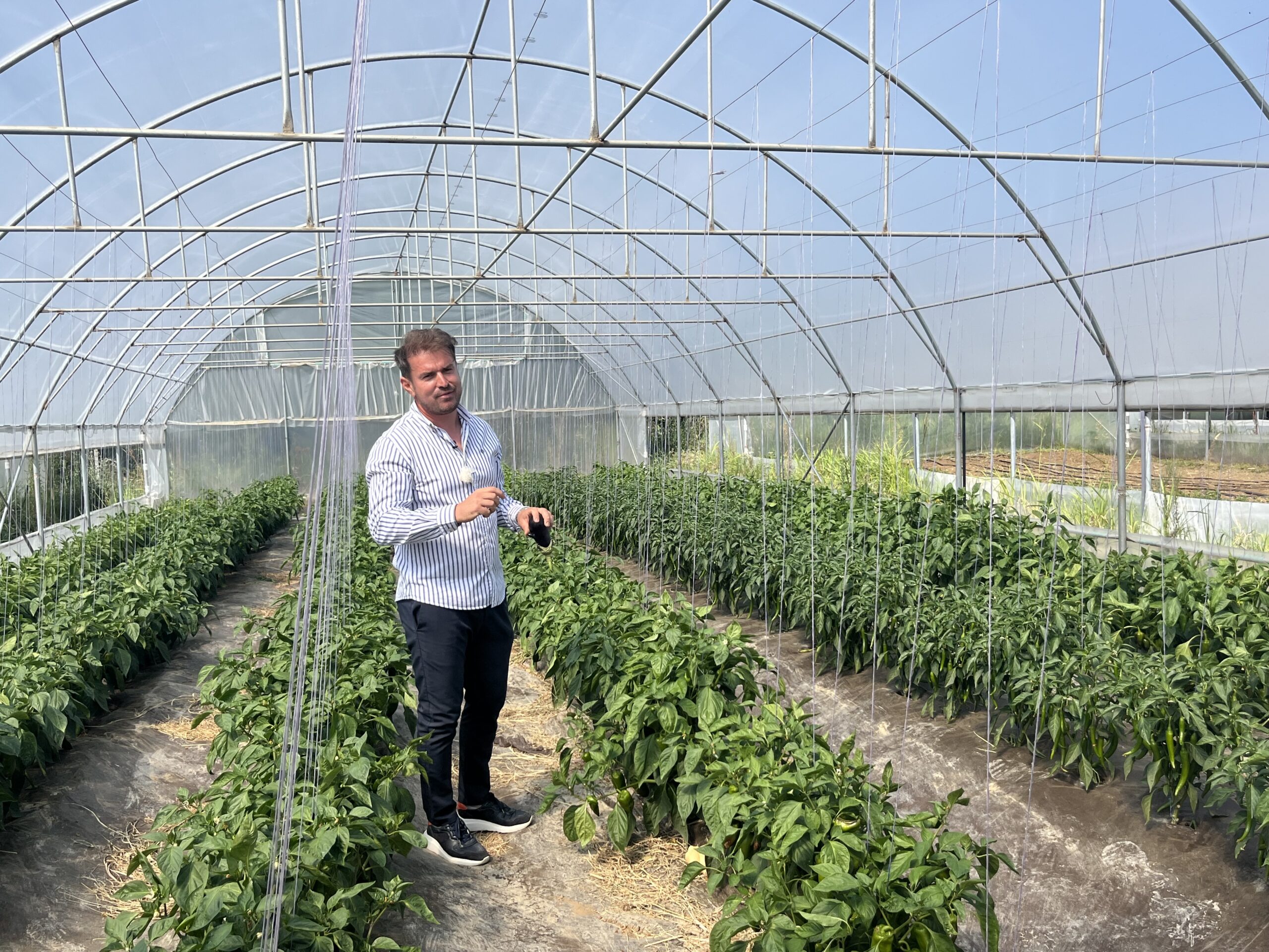 Unul dintre membrii fondatori ai cooperativei este Alin Dobre, reprezentantul Fermei Ecologice Dobre (sursă foto - arhiva companiei)