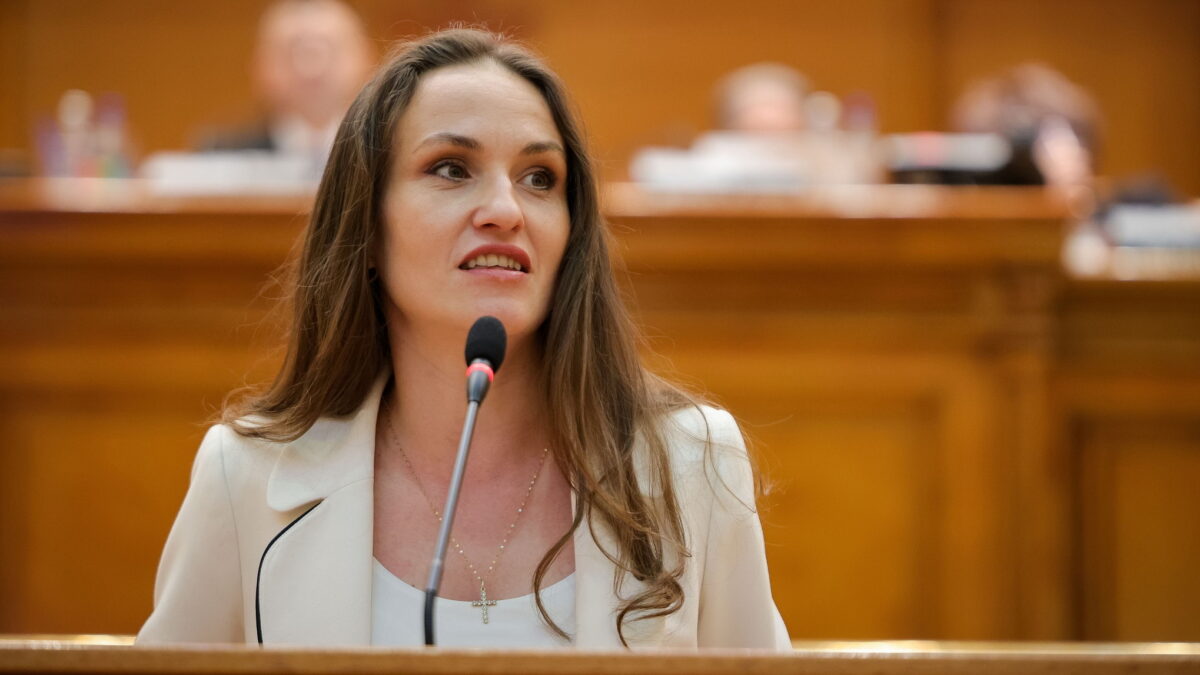 Reconstrucția Ucrainei și șansa României. Oana Țoiu: Nu putem aștepta pacea totală pentru a începe