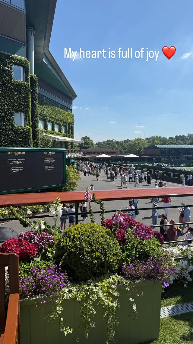 halep wimbledon