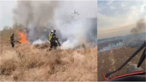 incendiu de vegetație