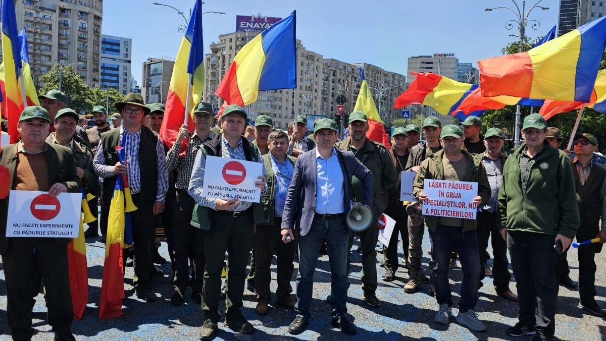 Silvicultorii ies în stradă. Protest la Guvern față de reorganizarea Romsilva