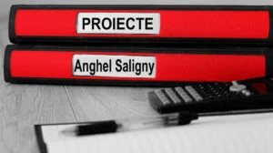 Anghel Saligny, proiecte copy