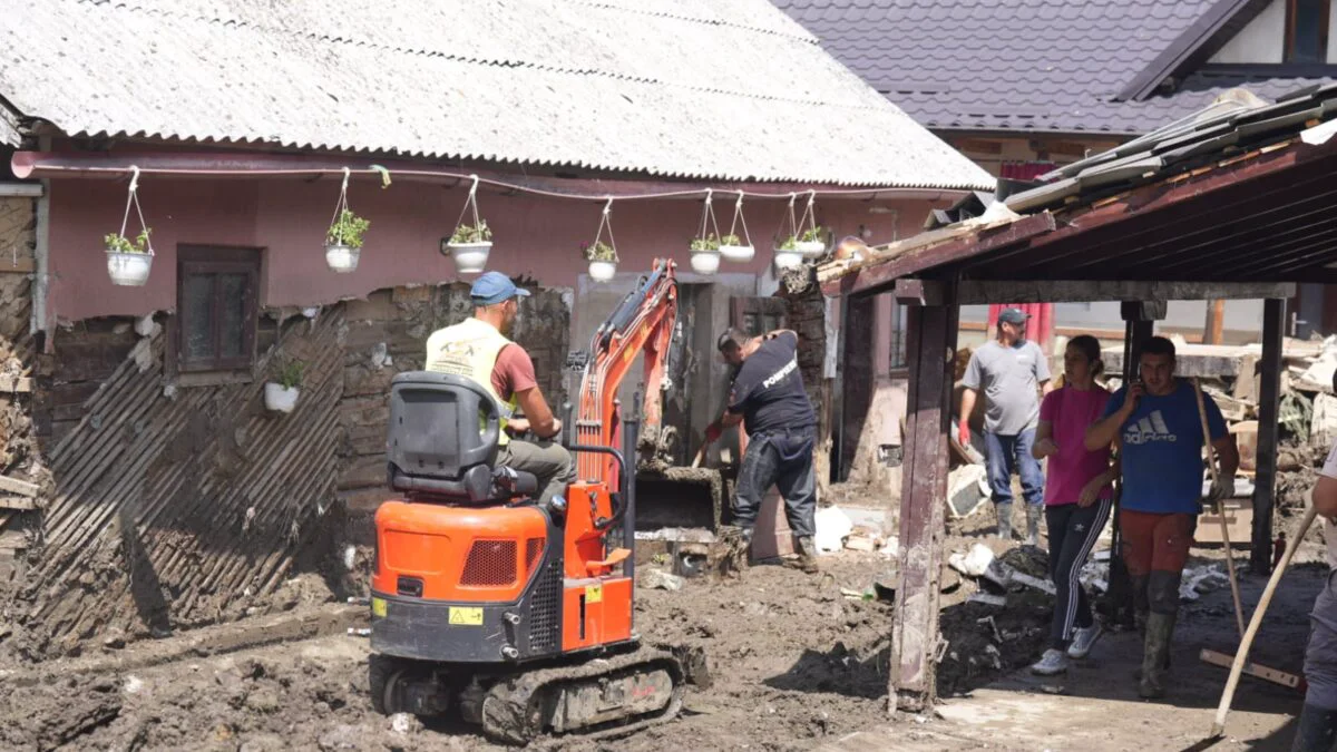 Brosteni, voluntari