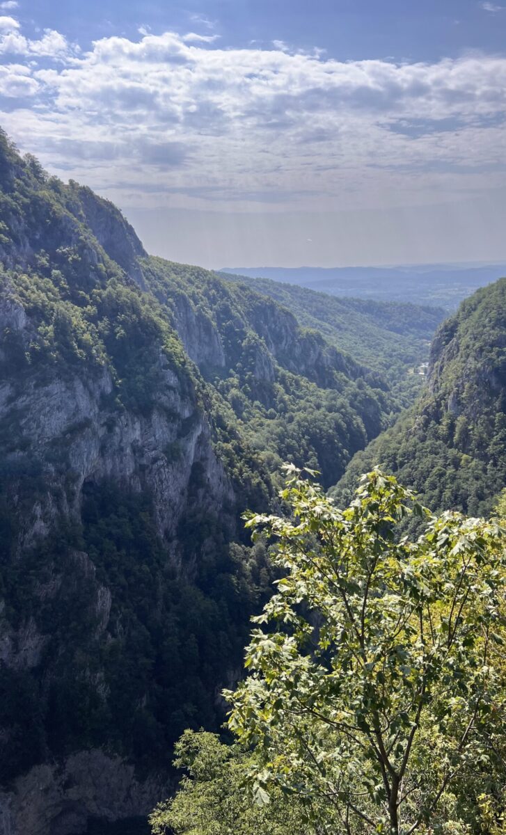 Cheile Oltețului