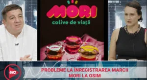 Ioana Mihai podcast