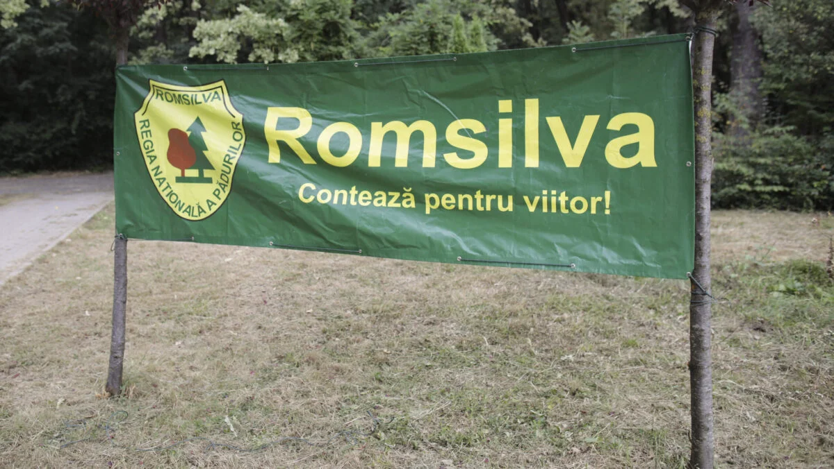 Fostul șef interimar al Romsilva, care a dat prime de sute de mii de euro, candidează pentru funcția de director general