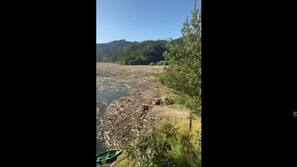 Diana Buzoianu, pusă la zid. Nimeni nu intervine pe lacul Bicaz. George Simion: Ați mințit! Uitați-vă ce jale e aici