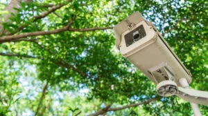 camere supraveghere, camere video, vecini, curte, securitate