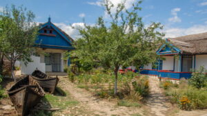 casa, gradina, curte, copaci
