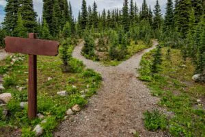 pe-traseele-off-road-fac-diferența-răbdarea-antrenamentul-și-echipamentul-potrivit