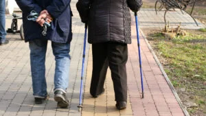 pensii, pensie, pensia, pensionari, pensionar, pensionară