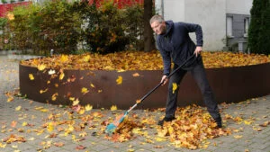 Amendă de 50.000 de euro, dacă nu-ți cureți cum trebuie curtea. Cei care stau la casă au reguli stricte de respectat