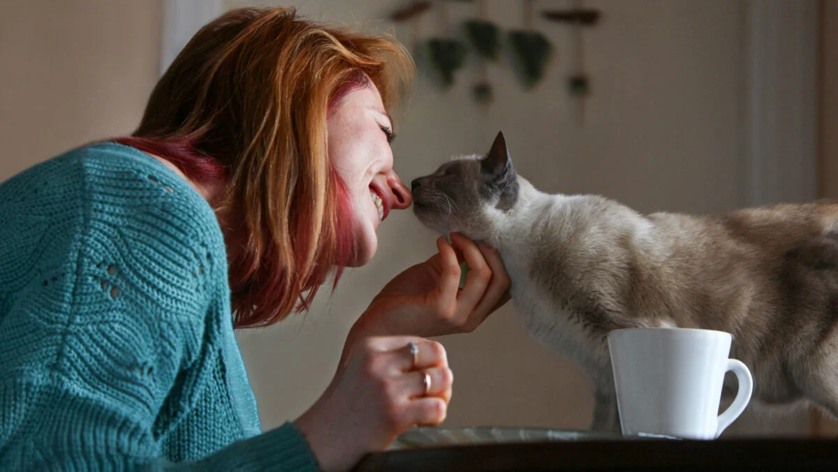 Proprietarii de animale de companie, obligați la plată. Cât achită în 2025 cei care dețin câine sau pisică