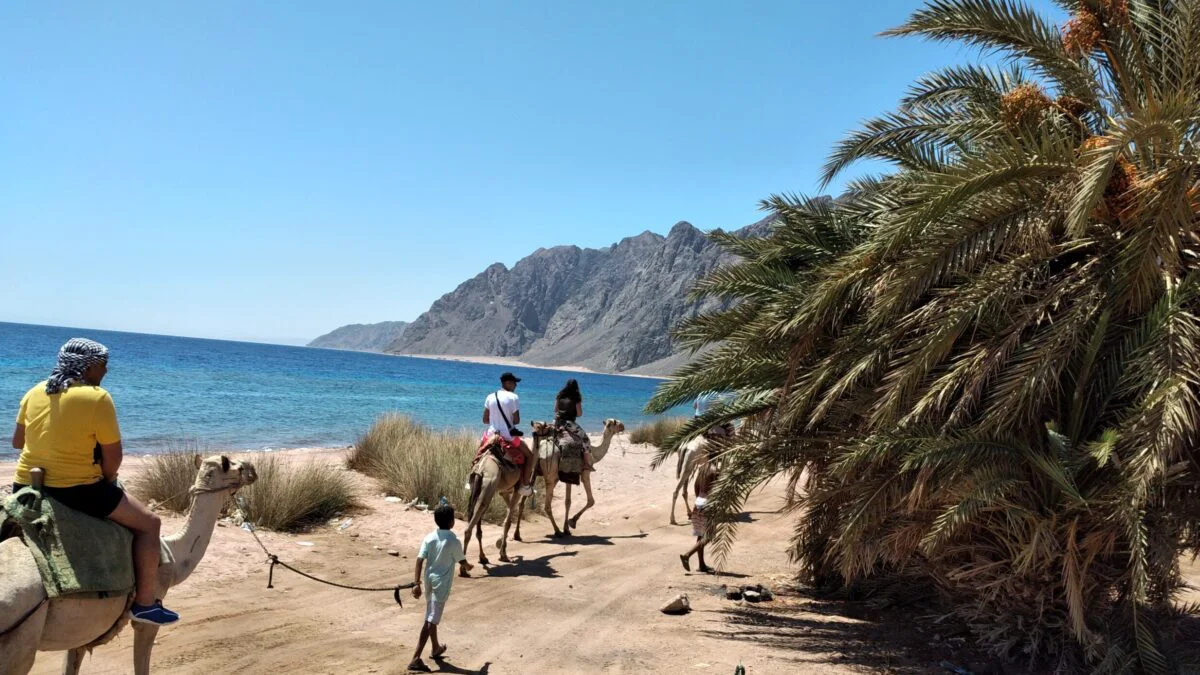 Dahab, safari, Three Pools, Muntii Sinai, Wadi Gnai