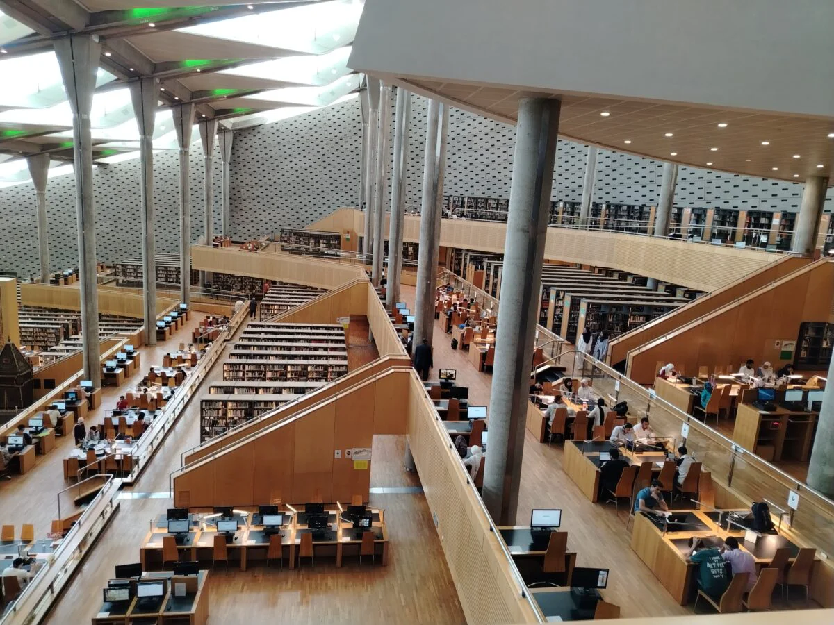 Biblioteca din Alexandria, Arhivă Ramona Sandrina Ilie