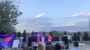 BLPTrends, Emil Constantinescu, Mugurel Stan