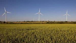 „O firmă românească va cumpăra 51% din parcurile eoliene ale Iberdrola în Ungaria”