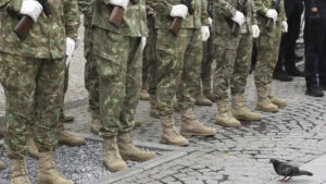 armata, militari