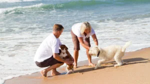O taxă nouă pentru câini în Italia. Ce sume vor achita turiștii aflați în vacanță cu animalele de companie