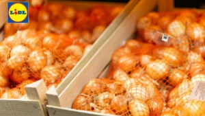 Lidl România oferă, din 11 septembrie, legume românești la cel mai mic preț al anului pentru zacuscă și murături