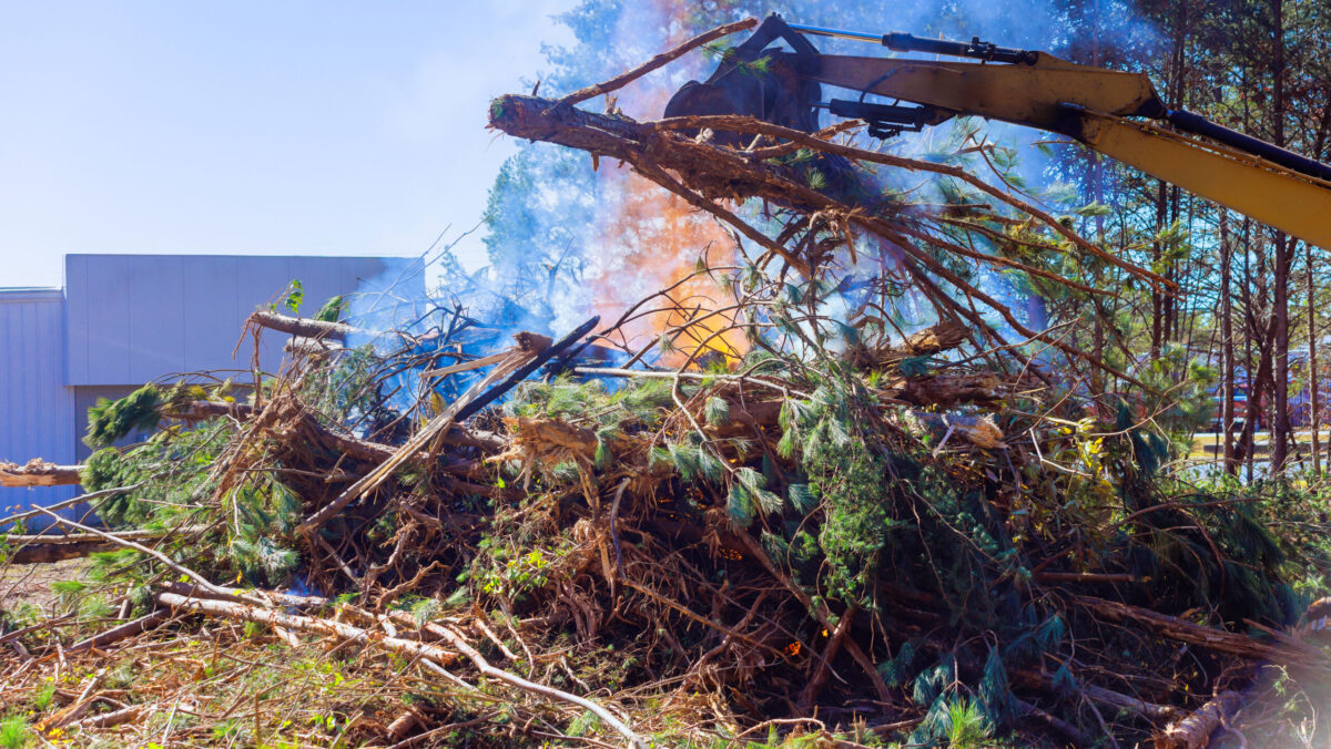 Regula care trebuie respectată la gunoi. Românii primesc termen pentru plata amenzii. Interdicție în toată țara