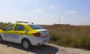 Polițiștii locali au găsit 500 de terenuri cu ambrozie în Sectorul 4 al Capitalei