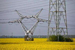 Top 5 firme de stat din domeniul energiei, după cifra de afaceri Hidroelectrica conduce clasamentul