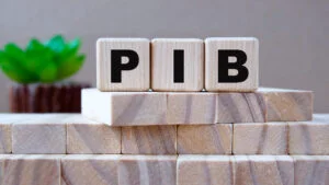 pib, pibcapita
