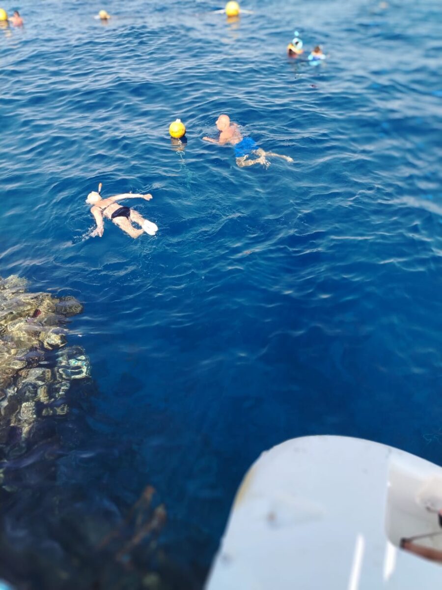 snorkeling, corali la Renaissance Sharm El Sheikh Golden View Beach Resort