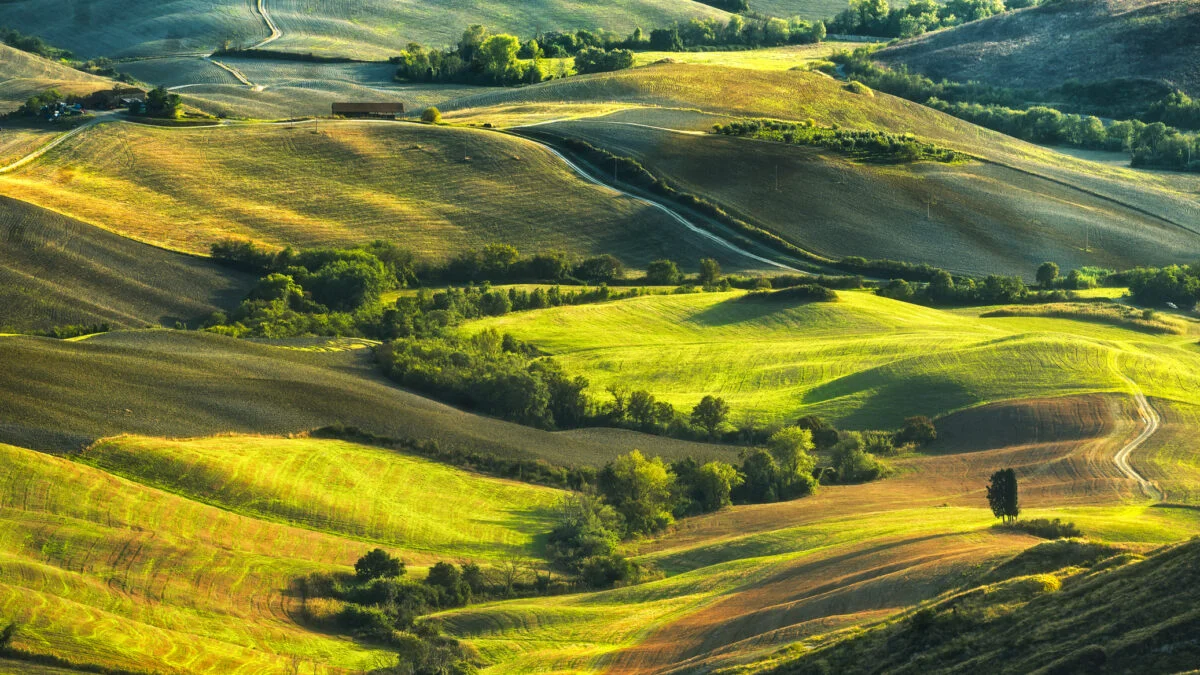 terenuri agricole, teren extravilan
