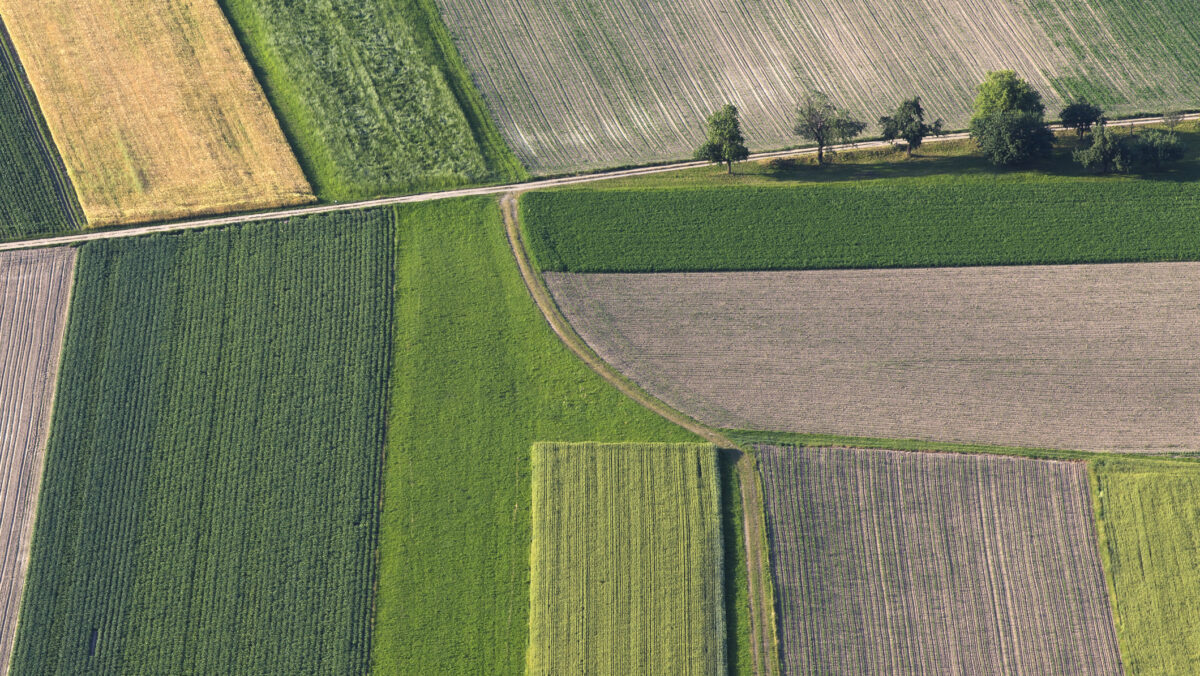 Proprietarii de terenuri agricole, taxați dublu în 2026 în Moldova. Vor achita o primă aproape dublă pentru asigurarea medicală