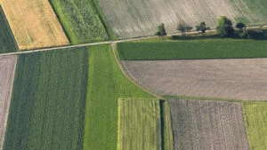 Proprietarii de terenuri pot obține gratuit extrasul de carte funciară. Află cum să eviți site-urile false