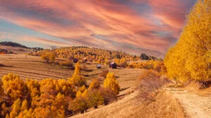 toamnă, România, natură
