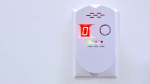 detector gaze