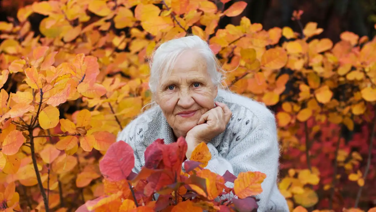 Documente obligatorii pentru pensionare. Cele două adeverințe de la angajator care nu pot lipsi din dosar