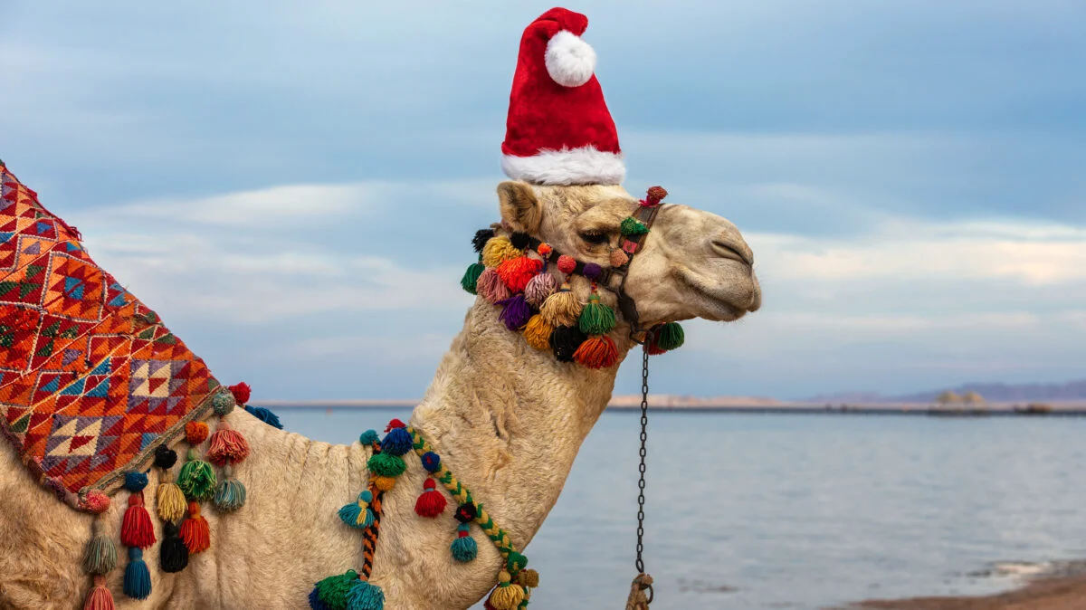 EXCLUSIV. Crăciun exotic sub soarele faraonilor. De ce Egiptul este destinația ideală pentru Sărbătorile de iarnă