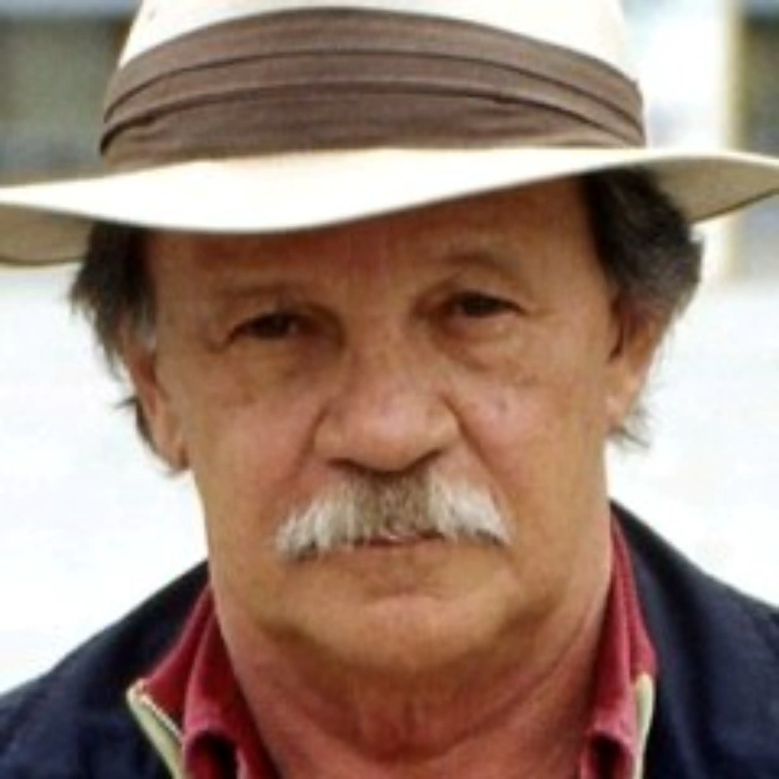 Helmut Stürmer