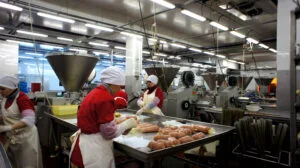 Inspecția Muncii Amenzi de peste 4 milioane de lei și 156 de persoane depistate la muncă nedeclarată, în doar o săptămână