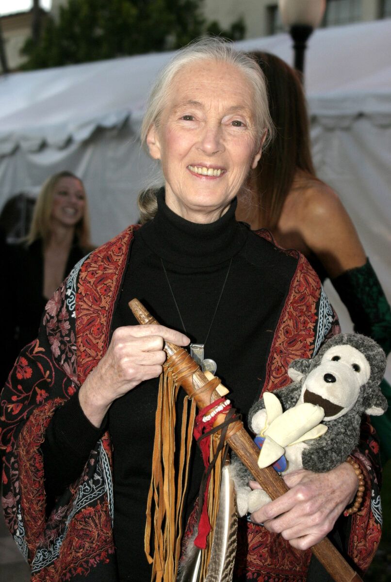 Jane Goodall