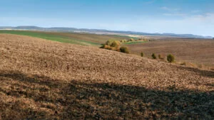 Legea arendei revine în dezbatere parlamentară. Senatorul Sorin Moise Eu cred că de data aceasta legea va trece. Sunt mai optimist de această dată